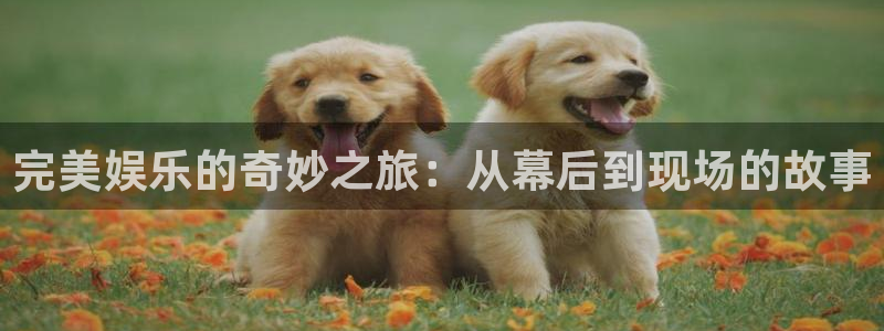 天辰平台