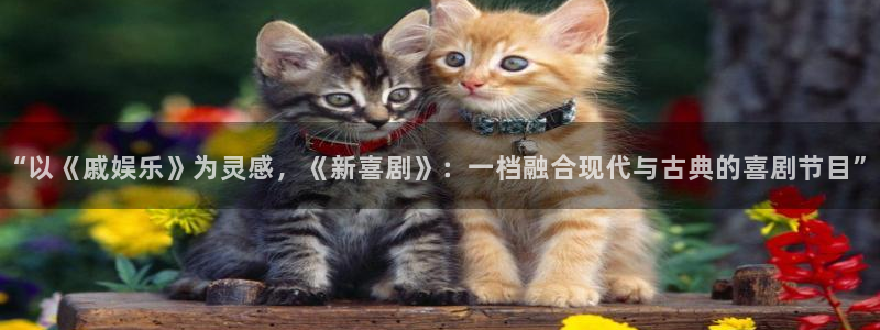 天辰娱乐登录