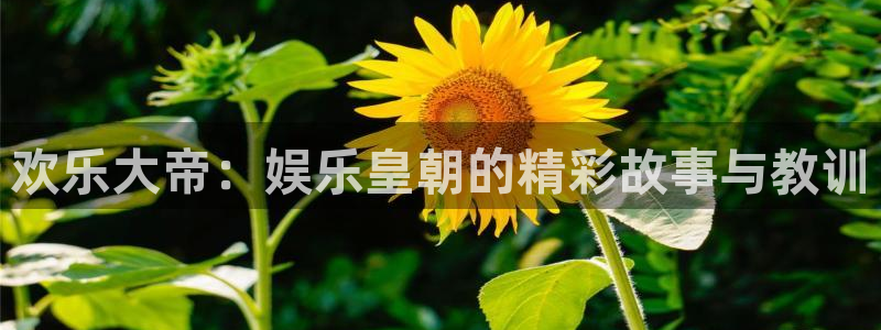 天辰娱乐登录