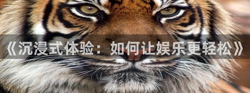 天辰娱乐下载
