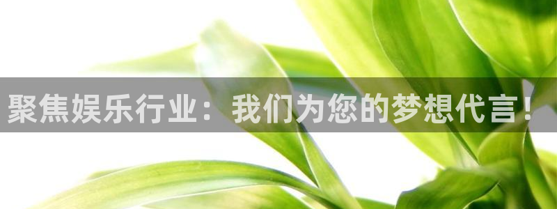 天辰娱乐下载