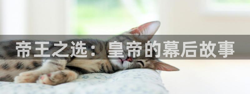 天辰平台