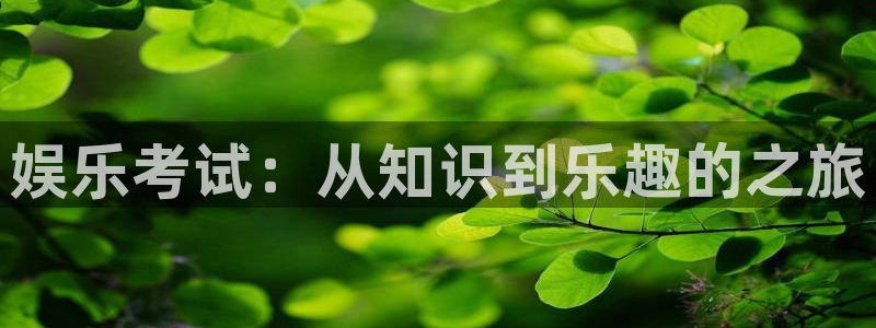 天辰娱乐下载