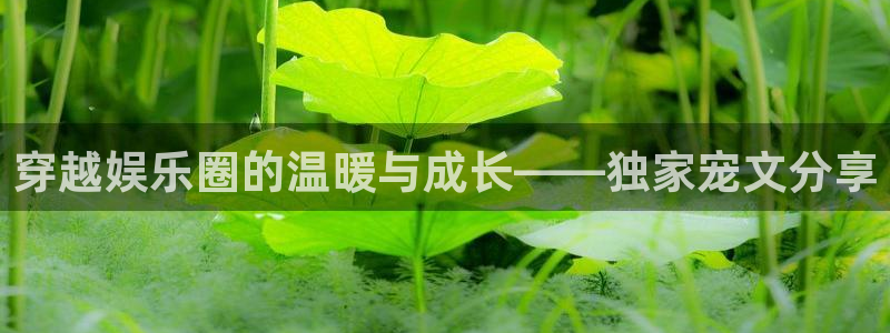 天辰娱乐下载