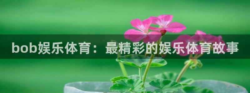 天辰娱乐